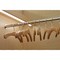 Feit Electric Feit Plug & Play T8 and T12 Warm White 23.9 in. G13 Linear LED Bulb 20 Watt Equivalence 1 pk T24/830/LEDG2 - alternate 3